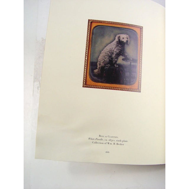 1990s Secrets of the Dark Chamber: The Art of the American Daguerreotype Book For Sale - Image 5 of 7