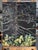 Early 21st Century Celebrating Autumn With the Mother Tree by Deb Komitor | Oil on cradle board Autumn landscape with a tree. For Sale - Image 5 of 5