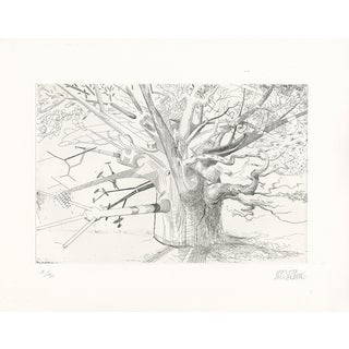 David Prudhomme, Arbre Évolution 1, 2017, Etching For Sale