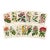 14 Van Houtte Botanicals! Hand Color c.1853 Set A For Sale