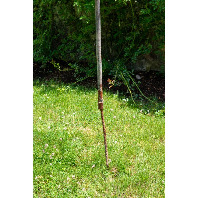 Brown Set of Four French garden Rose Trees For Sale - Image 8 of 12