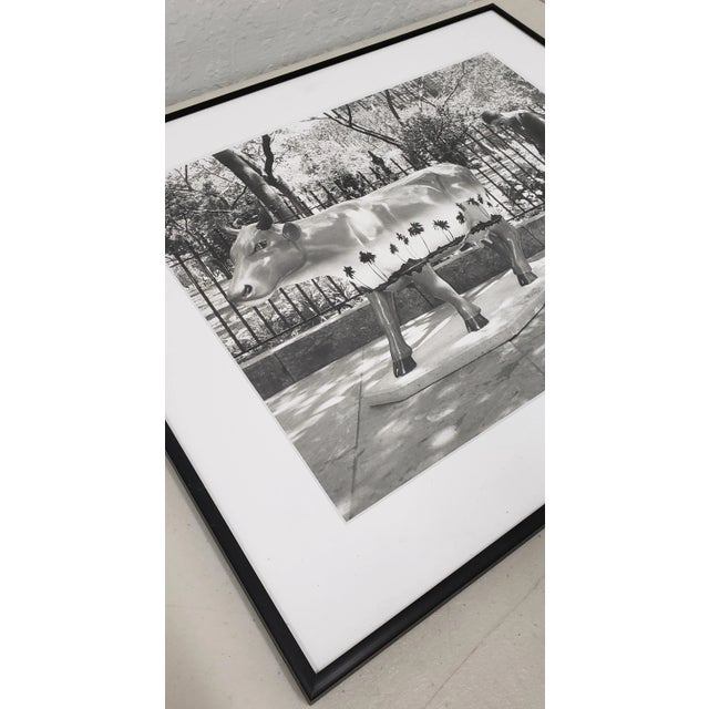 Leo Theinert (American) "Clean Sweep" Original Black and White Silver Gelatin Photograph 20th c. Brilliant original...