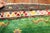 Zabihi Collection Vintage Bohemian Green Turkish Tulu Rug - 5'4" x 9'5" For Sale - Image 4 of 9