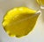 Here is a charming set of three vintage Portuguese majolica cabbage leaf serving bowls by SECLA, believed to date to the...