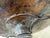 Classical Roman Vintage Maitland Smith Classical Greco-Roman Style Compote For Sale - Image 3 of 12