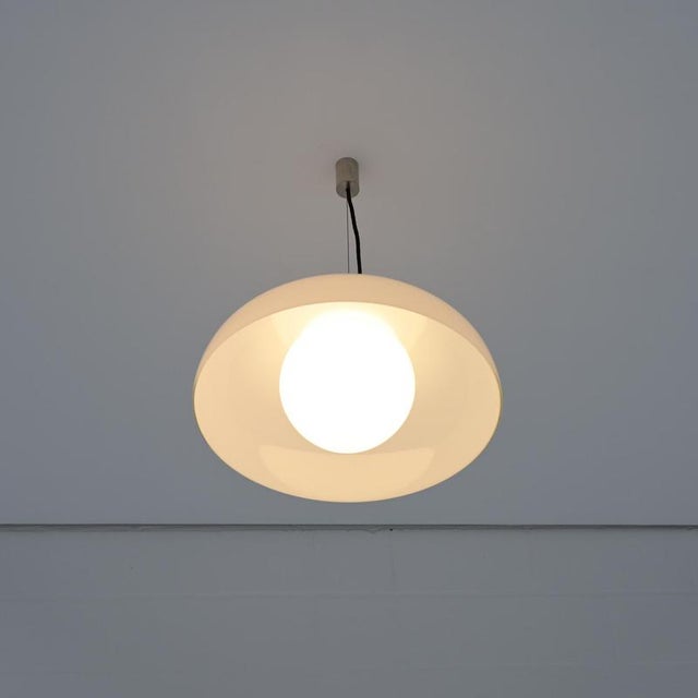 Murano Pendant Lamp by Alessandro Pianon for Vistosi, 1960s For Sale - Image 16 of 18