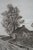 Antique Edward Loyal Field Signed Country Road Thatched Cottage Etching 23" For Sale - Image 9 of 13