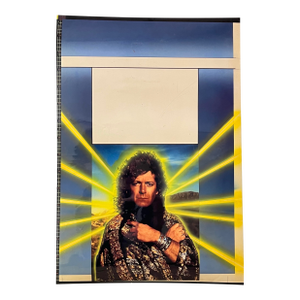 Vintage Robert Plant Poster