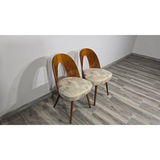 Dining Chairs by Antonin Suman, 1960s, Set of 2 For Sale - Image 12 of 17