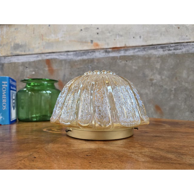 Floral Glass Ceiling Light from Fischer Leuchten, 1970s For Sale - Image 10 of 10