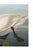 Not Yet Made - Made To Order Common American Swan, Museum Style Audubon Bird Print, 24" X 16" For Sale - Image 5 of 10