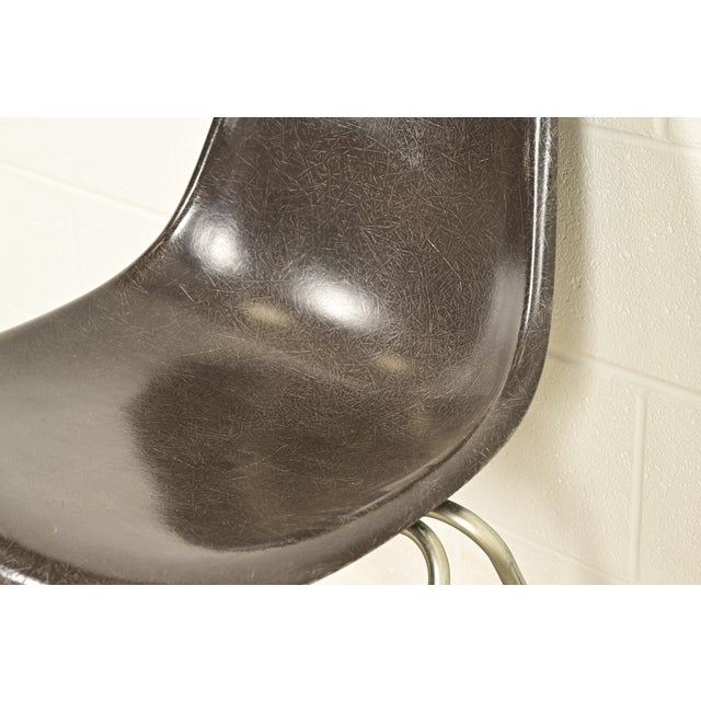 Charles & Ray Eames for Herman Miller DSS Seal Brown Stacking Shell Chairs | Set of Four For Sale - Image 10 of 15