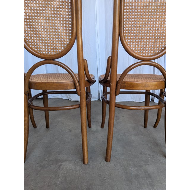 Brown Mid-Century Modern Bentwood Cane Dining Chairs, 1970s, Set of 4 For Sale - Image 8 of 18