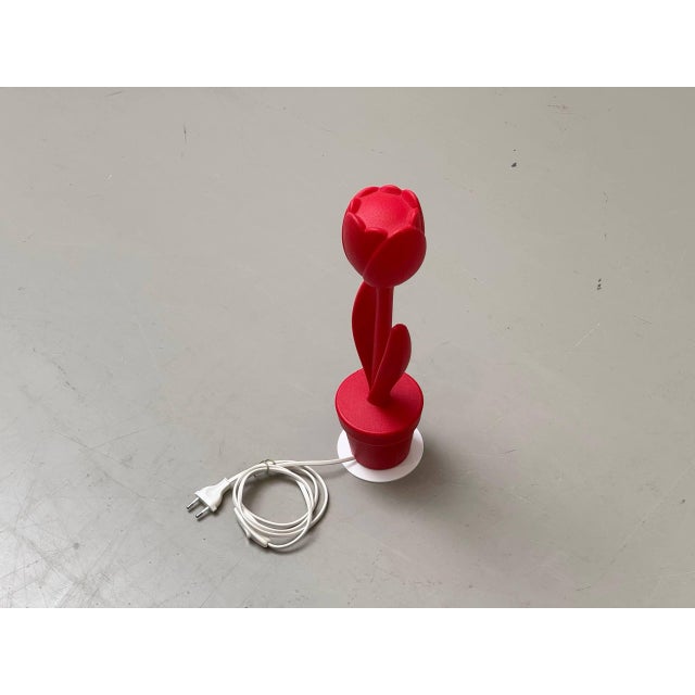 Tulip Lamp Prototype from Myyour, Early 2000s For Sale - Image 4 of 17
