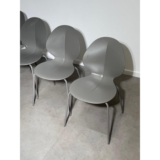 Basil Dining Chairs from Calligaris, Set of 4 For Sale - Image 4 of 6