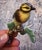 Goebel “Yellow Hammer” Bird Figurine For Sale In Chicago - Image 6 of 7