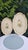 Florentine Wooden Tray, 1960s, Set of 2 For Sale - Image 10 of 10