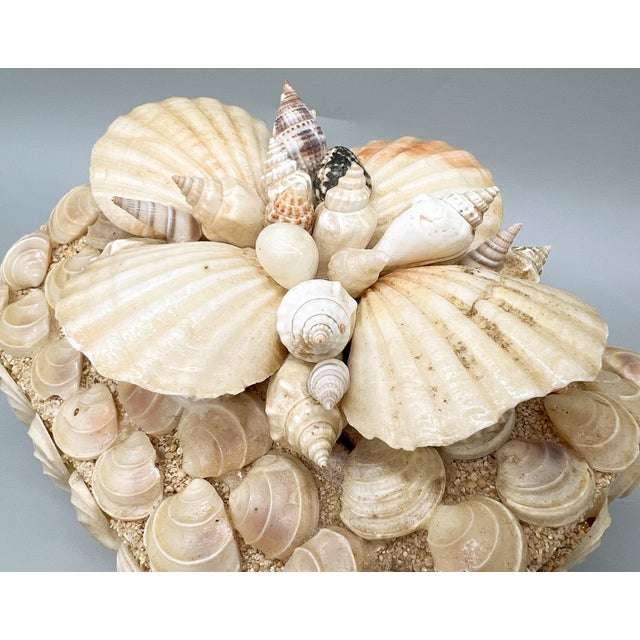 Late 20th Century Vintage Handmade Seashell Encrusted Lidded Box – Coastal / Organic Modern For Sale - Image 5 of 14