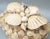 Late 20th Century Vintage Handmade Seashell Encrusted Lidded Box – Coastal / Organic Modern For Sale - Image 5 of 14
