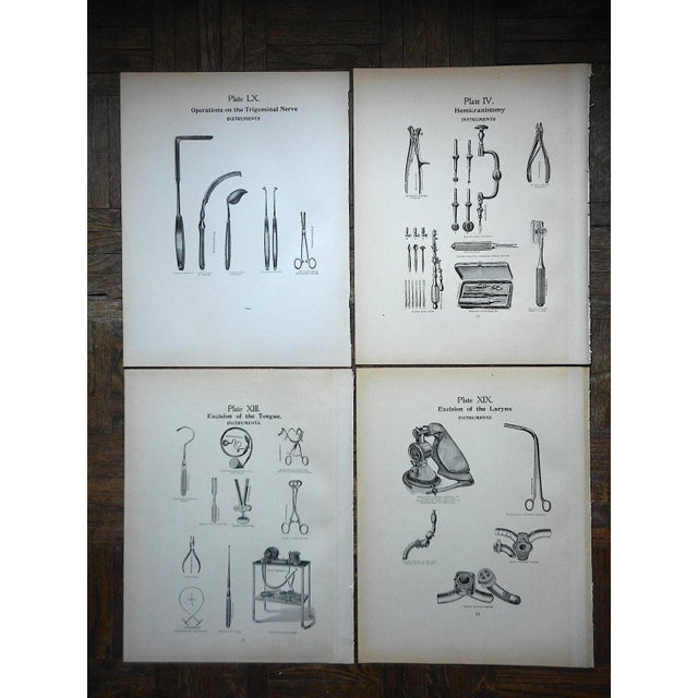 Printmaking Materials Authentic Antique Lithographs-Surgical Tools-1906-Set of 4 For Sale - Image 7 of 7