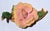 Rose 1950 American Express Rose Sculpture Edward Marshall Boehm Fine Bone China Handmade For Sale - Image 8 of 14