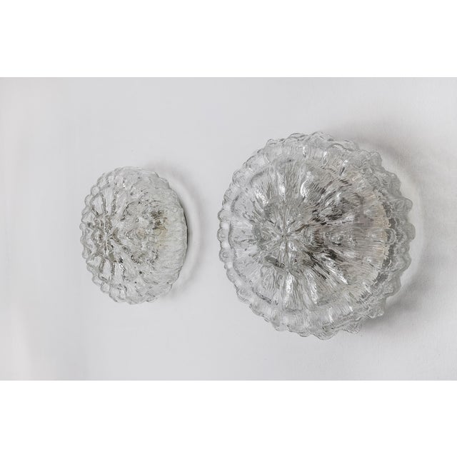 Blown Glass Bubbles Sconces attributed to Limburg, Germany, 1960s, Set of 2 For Sale - Image 9 of 9