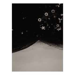 Jaume Llorens Bach, Gaia Diptych #128b, Monochrome Photographic Print For Sale