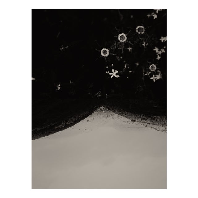 Jaume Llorens Bach, Gaia Diptych #128b, Monochrome Photographic Print For Sale