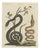 Bertuch, Black Snake with Hummingbird, 1805, Print For Sale