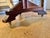 Wood Antique Walnut Wood Revolving Bookcase on Wheels For Sale - Image 7 of 7