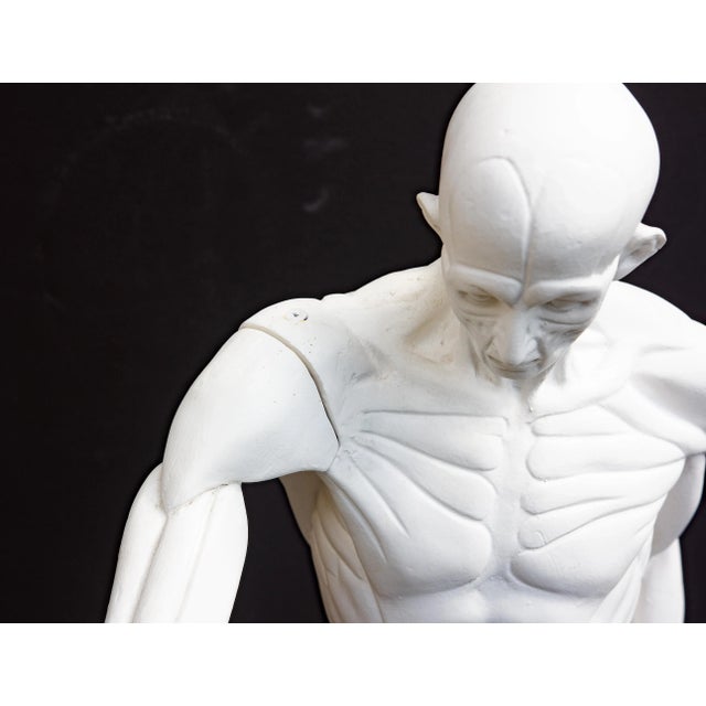 Anatomical Sculpture of Nude Male "L'Ecorche" After Jean Antoine Houdon For Sale - Image 10 of 13