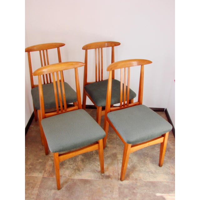 200/100 B Chairs by M. Zielinski, 1960s, Set of 4, in Very Good conditions. Designed 1960 to 1969