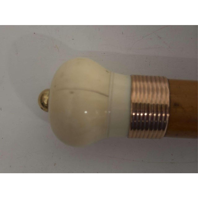 Art Deco Antique Bone Knob Handle Cane For Sale - Image 3 of 7