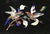 Mid-Century Italian Pietra Dura Bird Wall Plaques in Silvered Frames, Set of 4 For Sale - Image 16 of 18