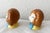 Whimsical Adorable Bunny Salt and Pepper Shakers Mint Condition. For Sale In Denver - Image 6 of 11