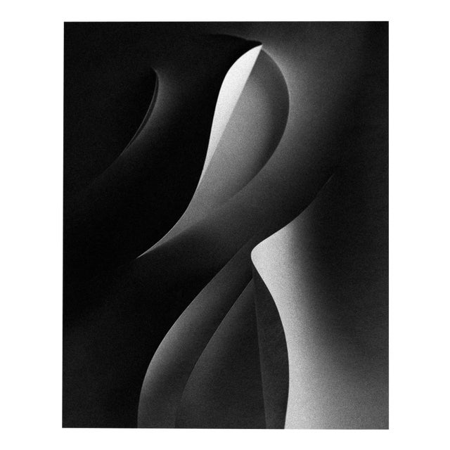 Ugne Pouwell, Paper Cut, 2021, Photography For Sale