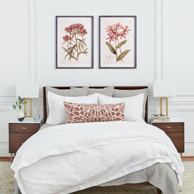 Early 21st Century Pretty In Pink Vintage Prints, Set Of 2 For Sale - Image 5 of 5