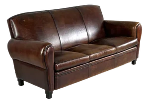 Vintage Sofa in Leather