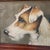 an oil on canvas portrait of aJack Rusell terrier dog. Framed. Unsigned