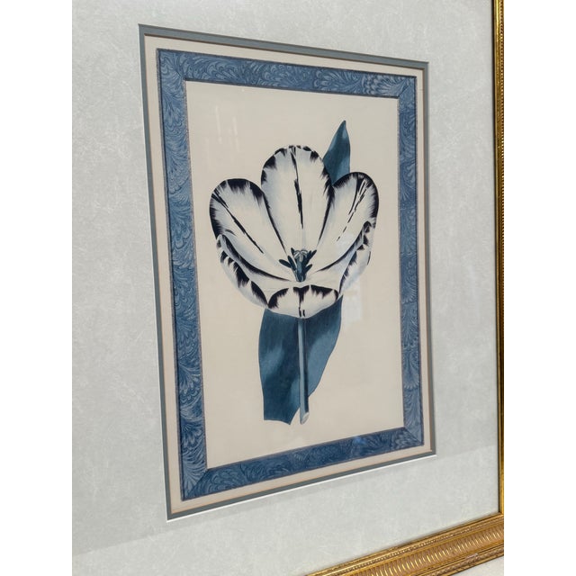 Late 20th Century Traditional Victorian Blue Floral Botanical Gold Framed Reproduction Prints, a Pair For Sale - Image 13 of 17