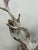 Late 20th Century Metal Deer Head Wall Sculpture For Sale - Image 5 of 12
