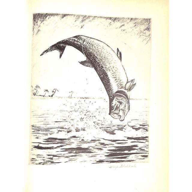 "Fish by Schaldach" 1937 Schaldach, William (Inscribed) For Sale - Image 11 of 12