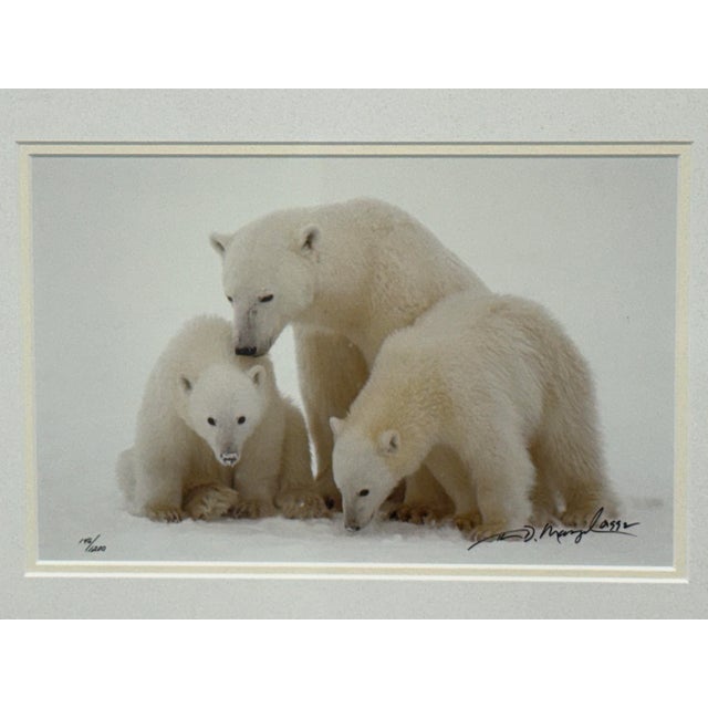 White Thomas Mangelsen Images of Nature Collection of Polar Expressions Photography, Signed For Sale - Image 8 of 12