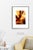 Fine art Giclee prints on Hahnemuhle Photo Rag 308gsm - a 100% cotton, acid-free, mould-made paper. Printed to Fine Art...