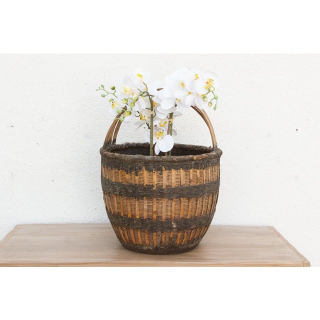 Brown Country Farm Harvest Basket For Sale - Image 8 of 8