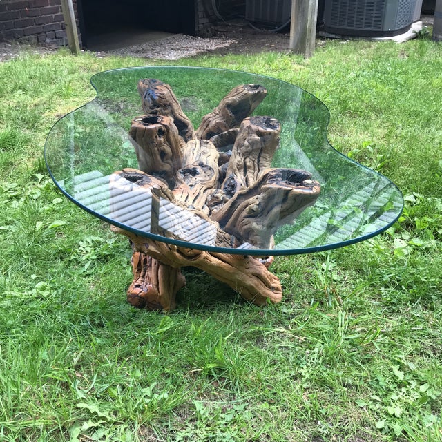 100 Year Old Grape Vine Base Coffee Table With Biomorphic Cut Glass Top