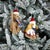 Contemporary Plush Ski and Sled Dog Ornament (Set of 6) For Sale - Image 3 of 5