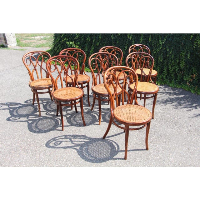 19th Century Bistro Chairs in the style of Thonet, 1890s, Set of 8 For Sale - Image 14 of 14