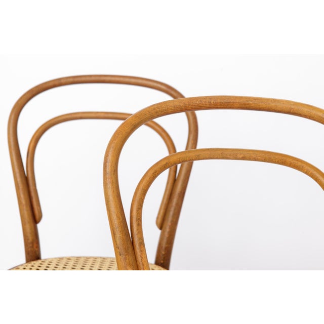 Vintage Model 14 Chairs in Bentwood from Thonet, 1980s, Set of 2 For Sale - Image 3 of 12
