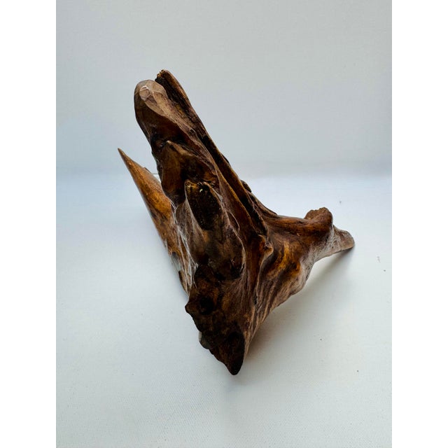Mid 20th Century Vintage Organic Driftwood Root Sculpture Bird Form Wood Art For Sale - Image 5 of 9